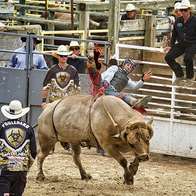 路由器V2RAY更新指南：为何更新与如何安全操作