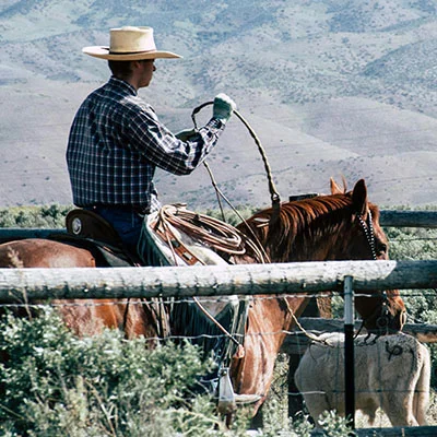 Surfboard 配置文件托管指南：选择、优化与安全策略