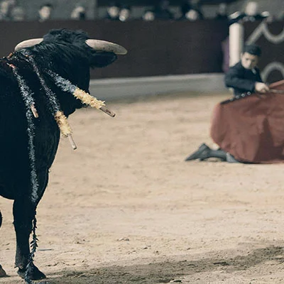 智能电视V2Ray启动失败全解析：从排查到解决的完整指南