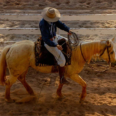 突破网络封锁：科学上网越狱插件完全指南与深度解析