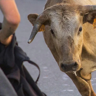 突破数字边界：Shadowrocket助你畅游无界网络
