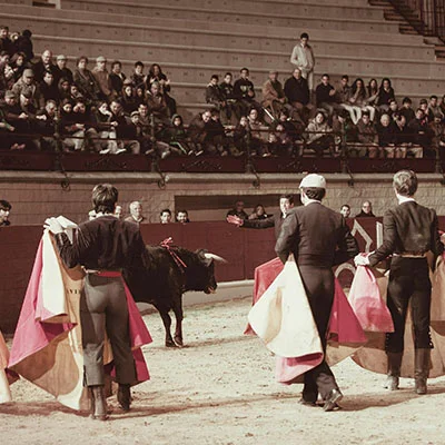 Opera浏览器科学上网全攻略：解锁网络自由的轻量级利器