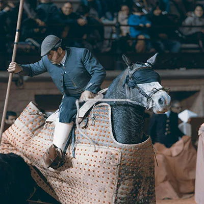 12月20日|23M/S，SSR节点/Clash节点/V2ray节点/Shadowrocket节点|免费订阅机场|每天更新免费梯子