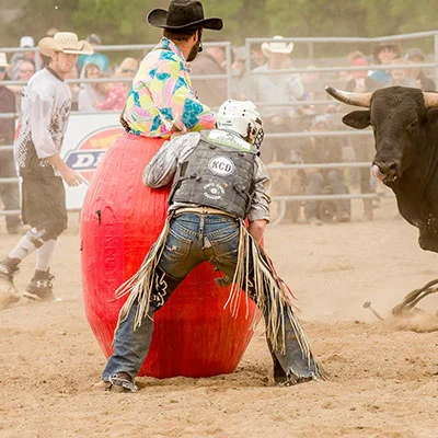 如何在知乎实现正规科学上网的方法与技巧：全面指南