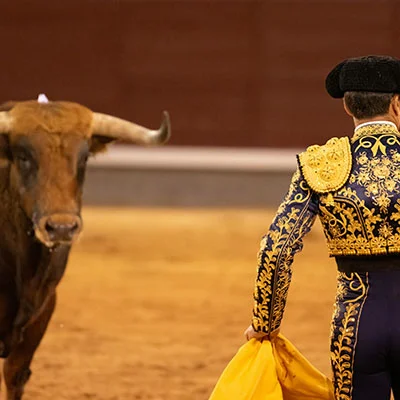 科学上网遭遇寒冬？深度解析网络封锁的破解之道与未来趋势