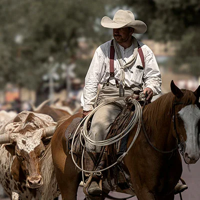 全面掌握Quantumult X共享ID：从原理到高级应用技巧