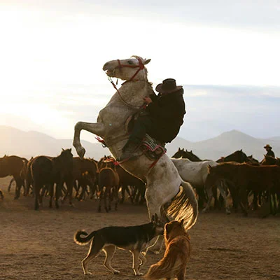 华为手机v2rayng无法访问谷歌？终极解决方案大揭秘