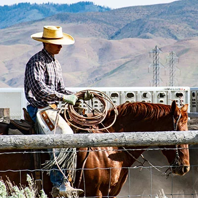 掌握Surfboard：从下载安装到高效调试的全方位指南